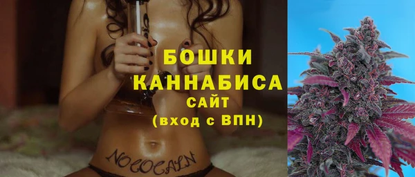 ECSTASY Инсар