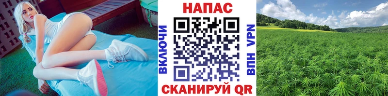 Каннабис марихуана  Высоковск 